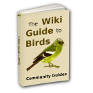 Logo of WikiBird