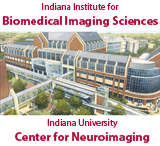 Logo of Iibis