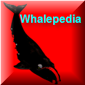 Logo of Whalepedia.org