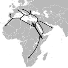 Logo of Haplowiki