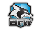 Logo of BrazilFW Firewall and Router