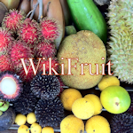 Logo of WikiFruit
