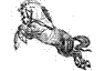 Logo of SGMLXML.net