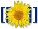 Logo of David Multer Wiki