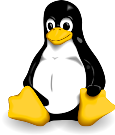 Logo of Cosmin's Wiki