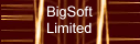 Logo of BigSoft