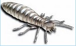 Logo of Termite Knowledgebase