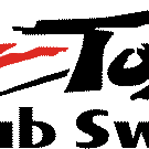 Logo of TCS Wiki