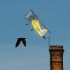 Logo of Agert