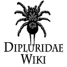 Logo of Dipluridae