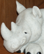 Logo of RhinoHome
