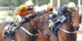 Logo of Derbyfever.com Wiki