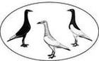 Logo of DltPltWiki