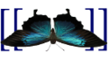 Thumbnail for version as of 21:06, 2 October 2014