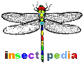 Thumbnail for version as of 15:19, 2 October 2014
