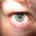 Thumbnail for version as of 14:07, 27 January 2013