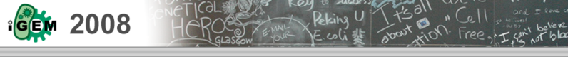 File:IGEM 2008 Logo.png