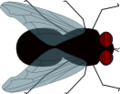 Thumbnail for version as of 20:47, 2 October 2014