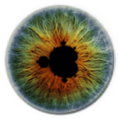 Thumbnail for version as of 15:22, 4 April 2014