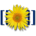 Thumbnail for version as of 15:31, 4 January 2014