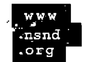 Logo of NSND