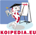 Thumbnail for version as of 12:11, 19 March 2014