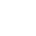 Thumbnail for version as of 09:50, 1 March 2022