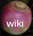 Thumbnail for version as of 06:07, 6 August 2013