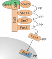 Thumbnail for version as of 00:59, 10 June 2014