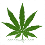 Logo of Wiki Cannabique