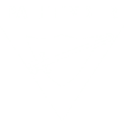 Logo of Pathfinder Wiki (designerthan.at)
