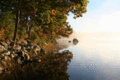 Thumbnail for version as of 00:45, 29 January 2014