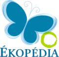 Thumbnail for version as of 19:49, 3 April 2013