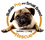 Logo of BPSBR Wiki
