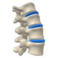 Thumbnail for version as of 00:59, 29 January 2014