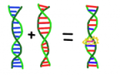 Thumbnail for version as of 15:29, 2 October 2014