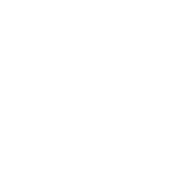 Logo of Star Atlas Wiki
