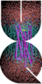 Thumbnail for version as of 21:49, 26 January 2013