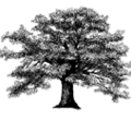 Thumbnail for version as of 22:41, 15 February 2014