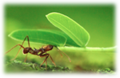 Thumbnail for version as of 11:37, 28 March 2014