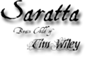 Thumbnail for version as of 17:53, 2 October 2014