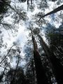 Thumbnail for version as of 15:20, 27 January 2013