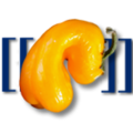 Thumbnail for version as of 11:59, 28 March 2014