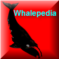 Thumbnail for version as of 19:36, 9 June 2014