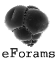 Thumbnail for version as of 14:44, 4 April 2014
