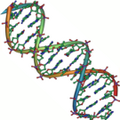Thumbnail for version as of 14:05, 5 January 2014