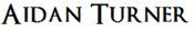 Logo of Aidan Turner Wiki