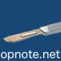 Thumbnail for version as of 08:31, 14 November 2014