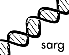 File:Self-assembly wiki Logo.svg