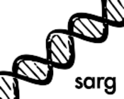 Logo of Self-assembly wiki